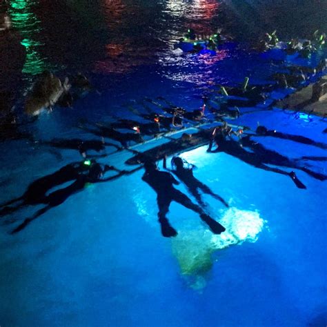 night swimming experience .